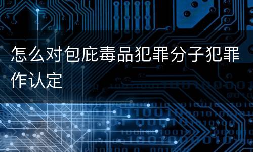 怎么对包庇毒品犯罪分子犯罪作认定