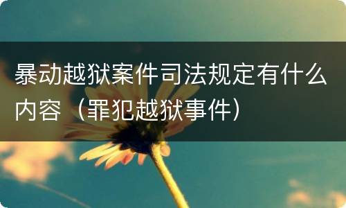 暴动越狱案件司法规定有什么内容（罪犯越狱事件）