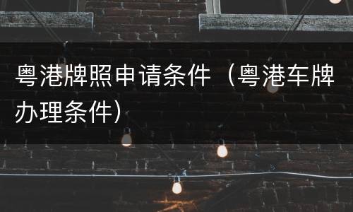 粤港牌照申请条件（粤港车牌办理条件）