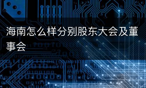 海南怎么样分别股东大会及董事会