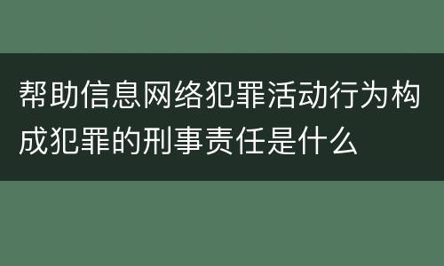 帮助信息网络犯罪活动行为构成犯罪的刑事责任是什么