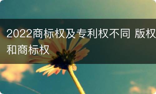 2022商标权及专利权不同 版权和商标权
