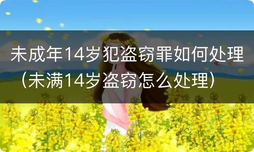 未成年14岁犯盗窃罪如何处理（未满14岁盗窃怎么处理）