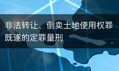 非法转让、倒卖土地使用权罪既遂的定罪量刑