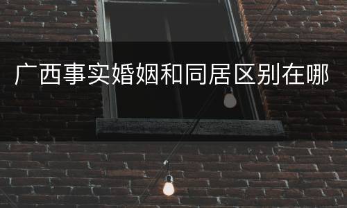 广西事实婚姻和同居区别在哪