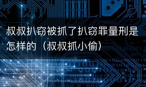 叔叔扒窃被抓了扒窃罪量刑是怎样的（叔叔抓小偷）