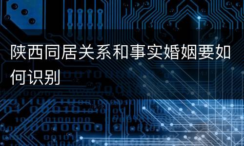 陕西同居关系和事实婚姻要如何识别