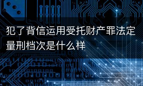 犯了背信运用受托财产罪法定量刑档次是什么样