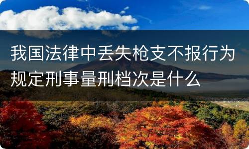 我国法律中丢失枪支不报行为规定刑事量刑档次是什么