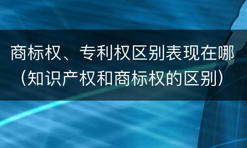 商标权、专利权区别表现在哪（知识产权和商标权的区别）