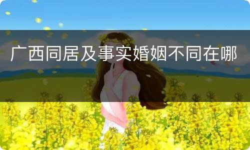 广西同居及事实婚姻不同在哪