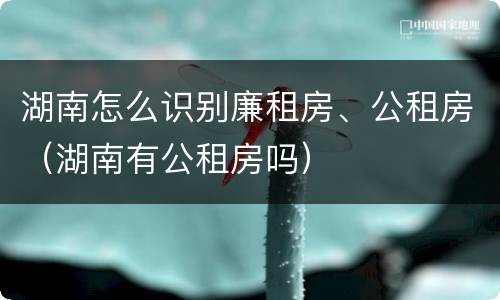 湖南怎么识别廉租房、公租房（湖南有公租房吗）