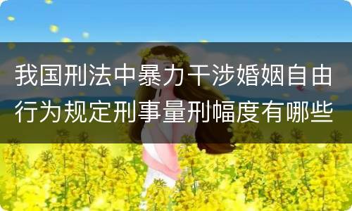 我国刑法中暴力干涉婚姻自由行为规定刑事量刑幅度有哪些