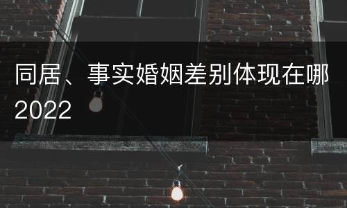 同居、事实婚姻差别体现在哪2022