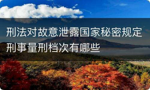 刑法对故意泄露国家秘密规定刑事量刑档次有哪些
