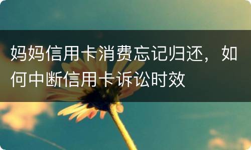 妈妈信用卡消费忘记归还，如何中断信用卡诉讼时效