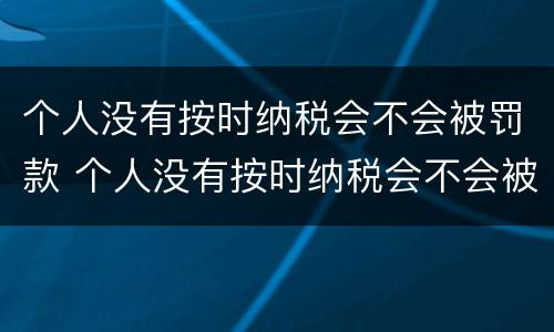 个人没有按时纳税会不会被罚款 个人没有按时纳税会不会被罚款呢