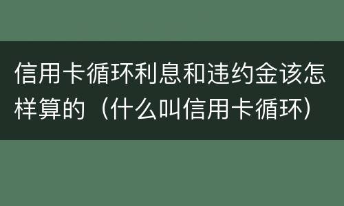信用卡循环利息和违约金该怎样算的（什么叫信用卡循环）