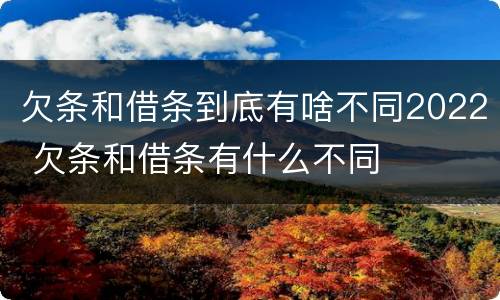 欠条和借条到底有啥不同2022 欠条和借条有什么不同