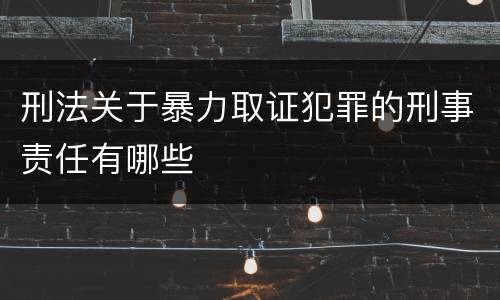 刑法关于暴力取证犯罪的刑事责任有哪些