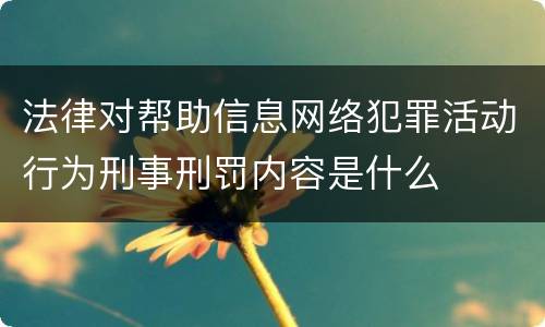法律对帮助信息网络犯罪活动行为刑事刑罚内容是什么