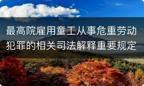 最高院雇用童工从事危重劳动犯罪的相关司法解释重要规定包括什么