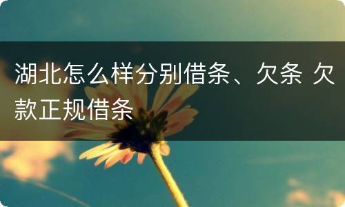 湖北怎么样分别借条、欠条 欠款正规借条