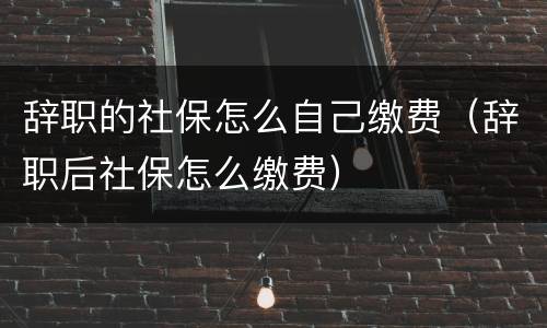 辞职的社保怎么自己缴费（辞职后社保怎么缴费）