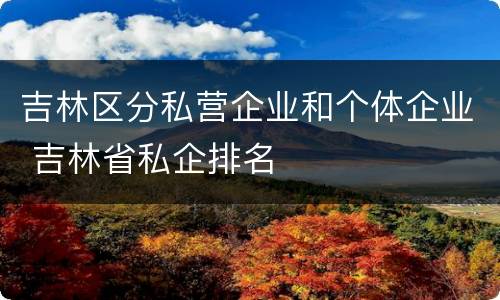 吉林区分私营企业和个体企业 吉林省私企排名