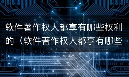 软件著作权人都享有哪些权利的（软件著作权人都享有哪些权利的保护）