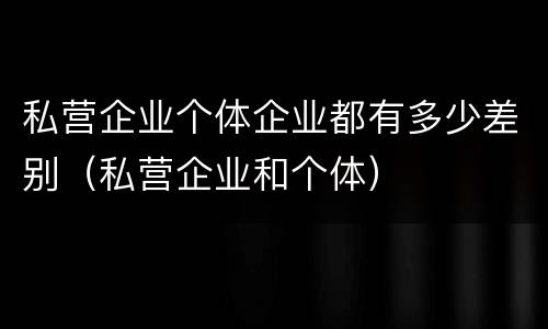 私营企业个体企业都有多少差别（私营企业和个体）