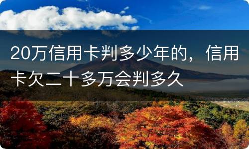20万信用卡判多少年的，信用卡欠二十多万会判多久