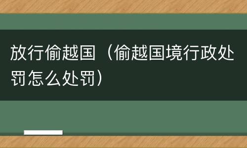 放行偷越国（偷越国境行政处罚怎么处罚）