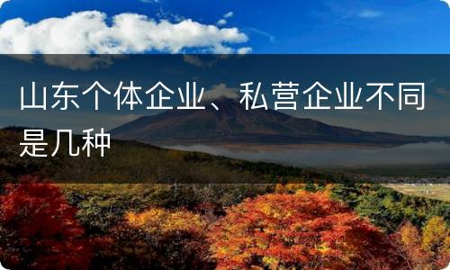 山东个体企业、私营企业不同是几种
