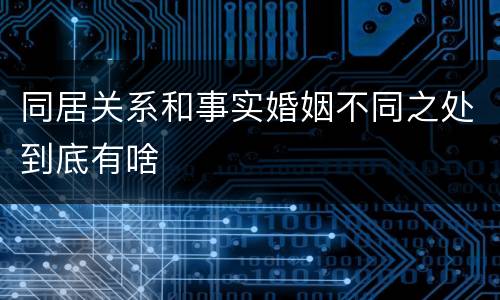 同居关系和事实婚姻不同之处到底有啥