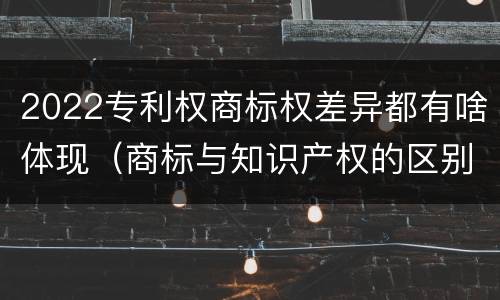 2022专利权商标权差异都有啥体现（商标与知识产权的区别）