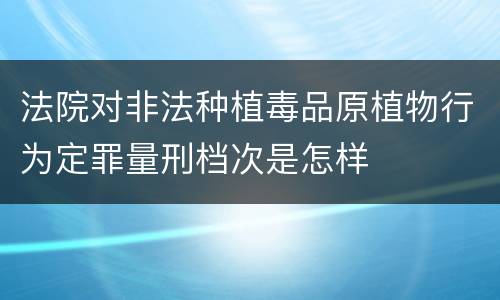 法院对非法种植毒品原植物行为定罪量刑档次是怎样
