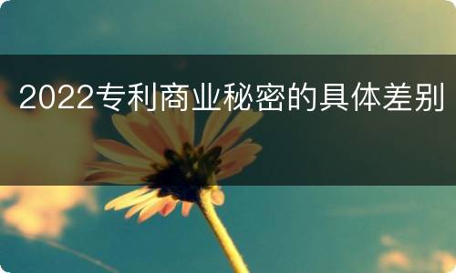 2022专利商业秘密的具体差别