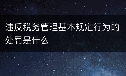 违反税务管理基本规定行为的处罚是什么