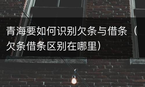 青海要如何识别欠条与借条（欠条借条区别在哪里）