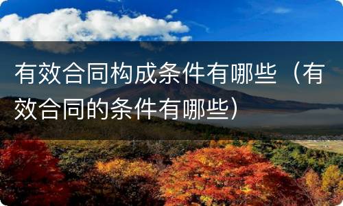 有效合同构成条件有哪些（有效合同的条件有哪些）