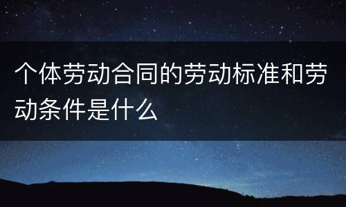 个体劳动合同的劳动标准和劳动条件是什么