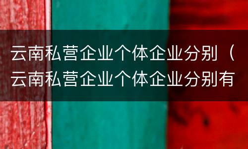 云南私营企业个体企业分别（云南私营企业个体企业分别有哪些）