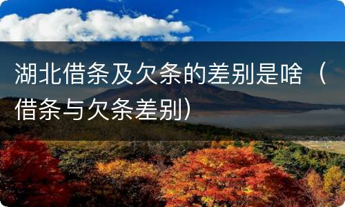 湖北借条及欠条的差别是啥（借条与欠条差别）