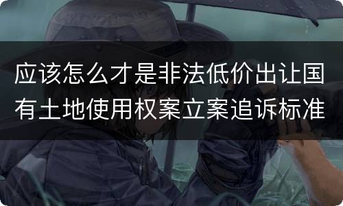 应该怎么才是非法低价出让国有土地使用权案立案追诉标准