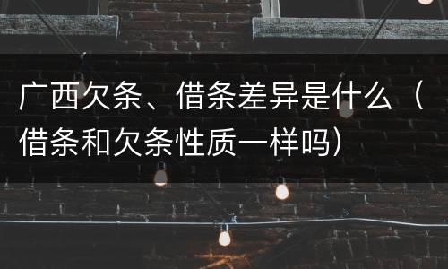 广西欠条、借条差异是什么（借条和欠条性质一样吗）