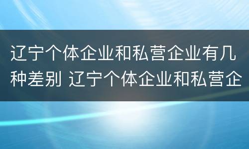 辽宁个体企业和私营企业有几种差别 辽宁个体企业和私营企业有几种差别吗