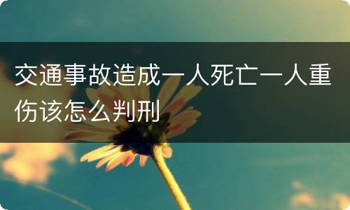 交通事故造成一人死亡一人重伤该怎么判刑