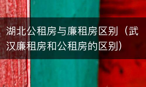 湖北公租房与廉租房区别（武汉廉租房和公租房的区别）