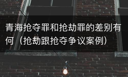 青海抢夺罪和抢劫罪的差别有何（抢劫跟抢夺争议案例）